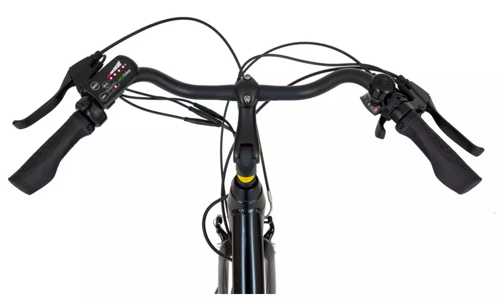 Elektrijalgratas Ecobike Basic 28" black - 6