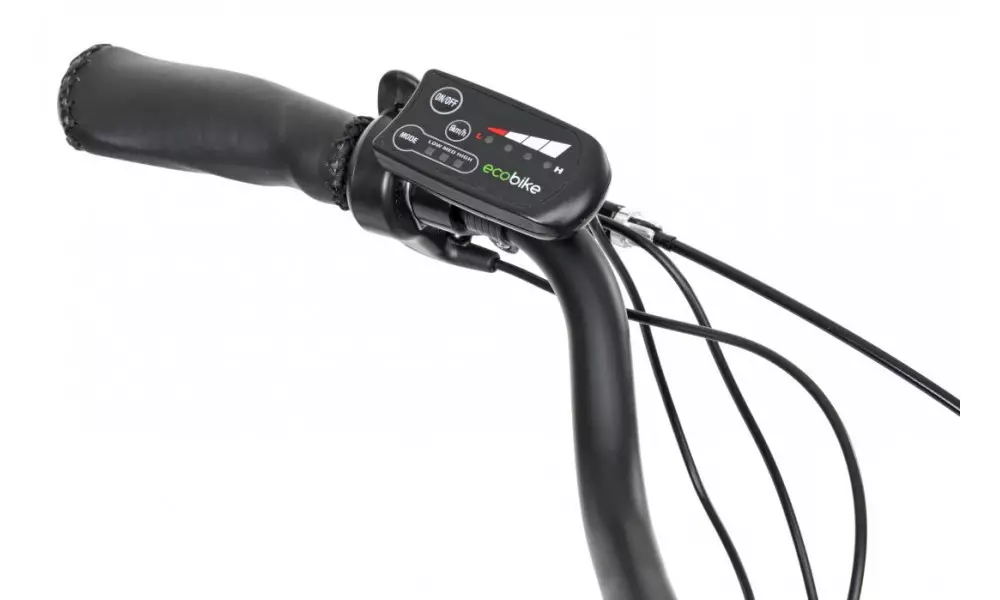 Elektrijalgratas Ecobike Basic Nexus 28" black - 2