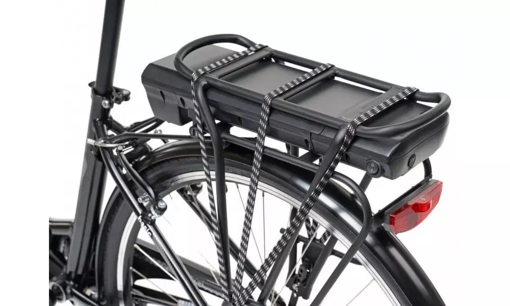 Elektrijalgratas Ecobike Basic Nexus 28" black - 4