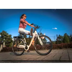 Elektrijalgratas Ecobike Traffik 28" white