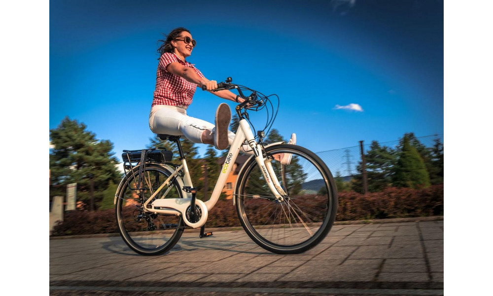 Elektrijalgratas Ecobike Traffik 28" white - 2