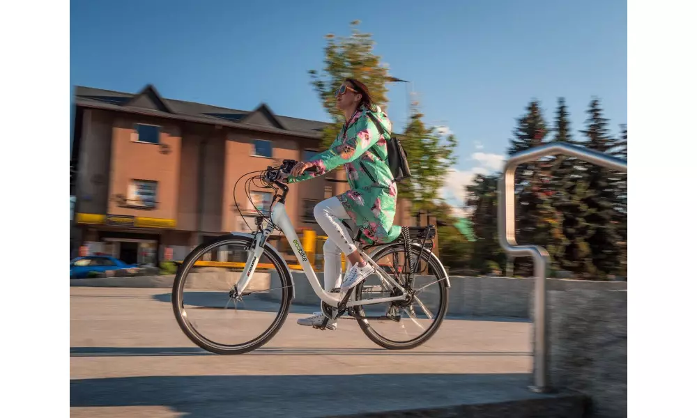 Elektrijalgratas Ecobike Traffik 28" white - 3