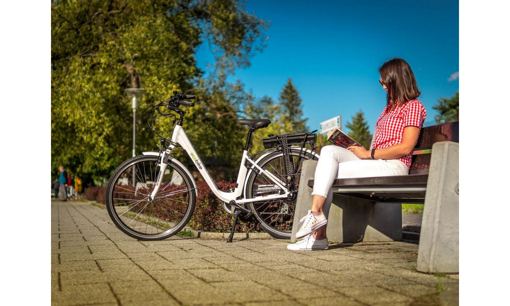 Elektrijalgratas Ecobike Traffik 28" white - 6