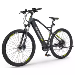 Elektrijalgratas Ecobike SX5 29"