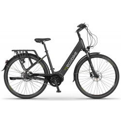 Elektrijalgratas Ecobike LX 48V 28"