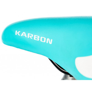 Jalgratas Karbon Kitty 20 turquoise-white
