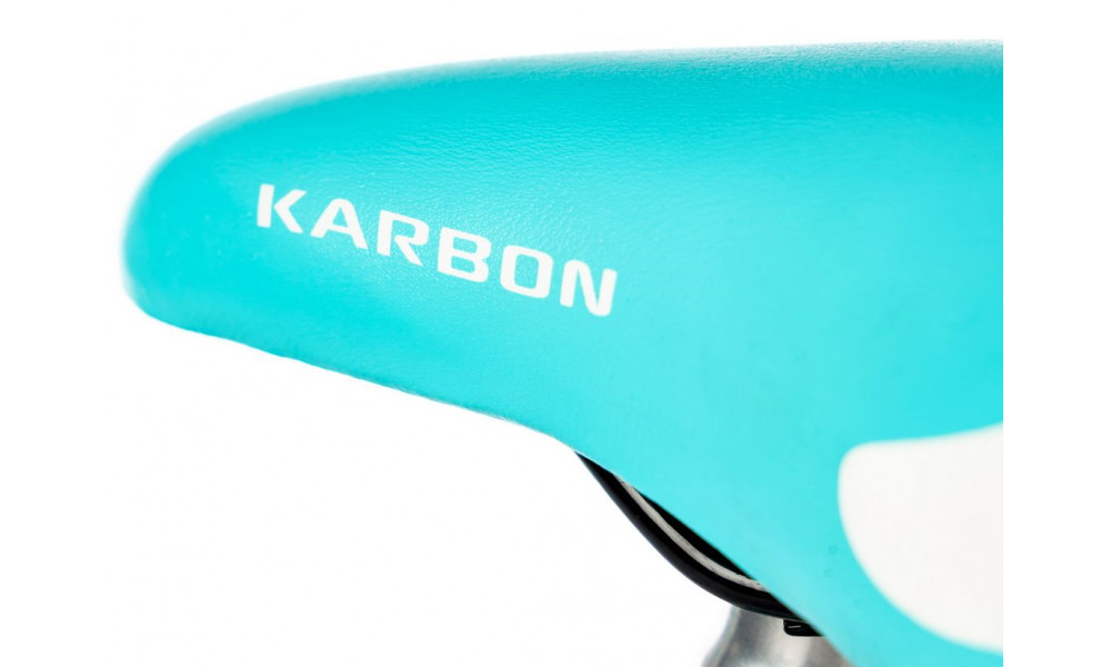 Jalgratas Karbon Kitty 20 turquoise-white - 1