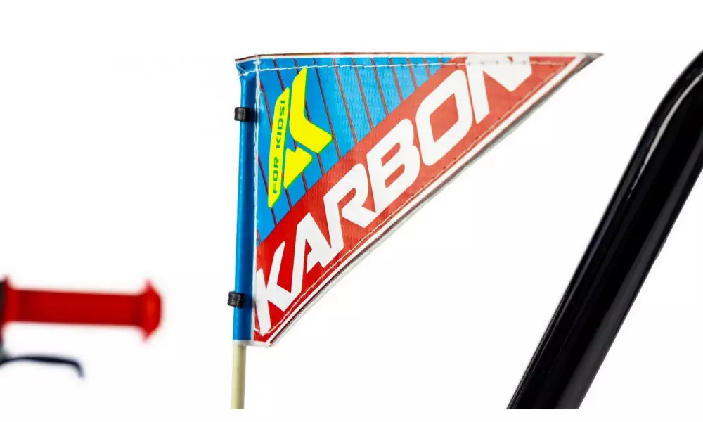 Jalgratas Karbon Alvin 16 blue-red - 2