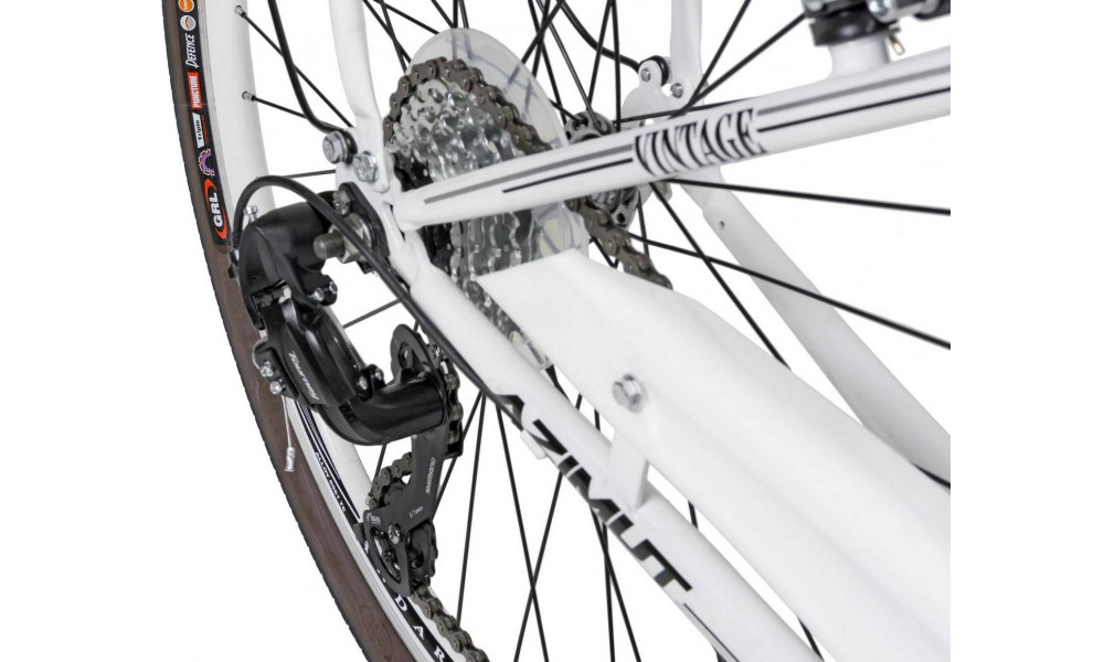Jalgratas AZIMUT Vintage TX-7 26" 2025 white-cream matt - 3
