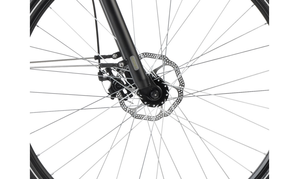 Jalgratas Romet Gazela 2 28" 2023 grey-gold - 5