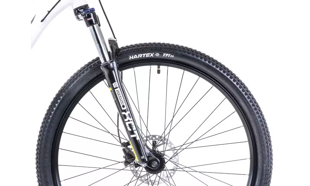 Jalgratas Romet Rambler R9.3 29" 2023 white-gold - 2