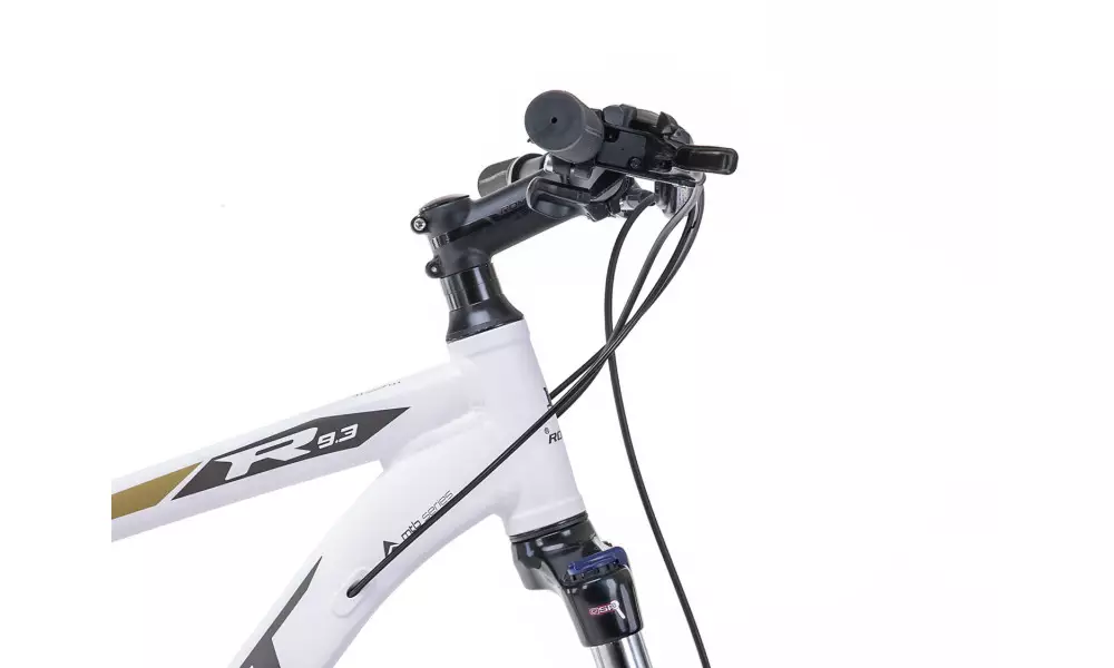 Jalgratas Romet Rambler R9.3 29" 2023 white-gold - 4