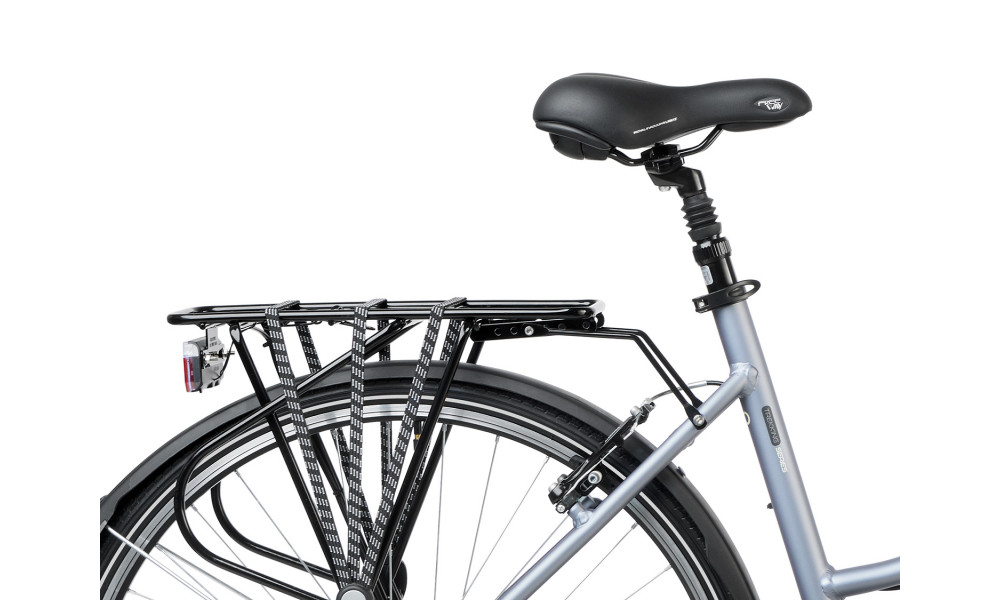 Jalgratas Romet Gazela 3 28" 2023 grey-silver - 3