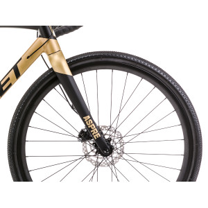 Jalgratas Romet Aspre 2 LTD 2023 black-gold