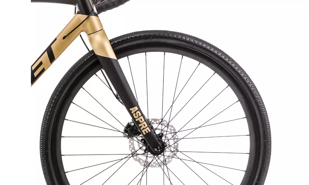 Jalgratas Romet Aspre 2 LTD 2023 black-gold - 2