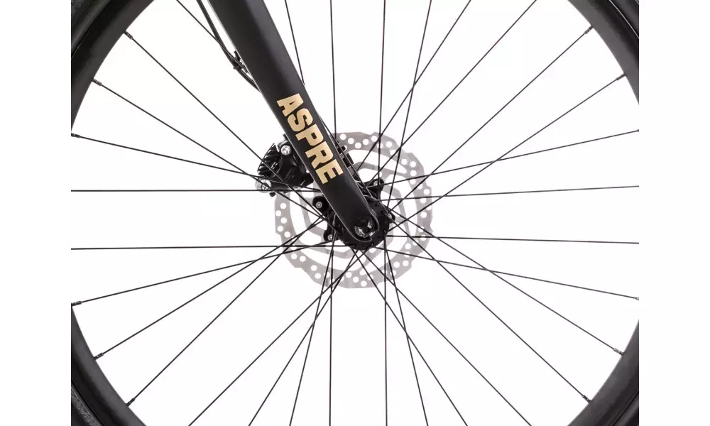 Jalgratas Romet Aspre 2 LTD 2023 black-gold - 5