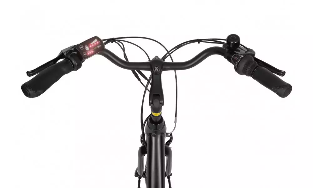Elektrijalgratas Ecobike Basic 28" 2023 black - 4
