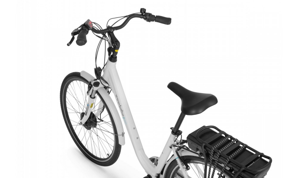 Elektrijalgratas Ecobike Basic Nexus 28" 2023 white - 4