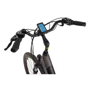 Elektrijalgratas Ecobike X-City 28" 2023 coffee
