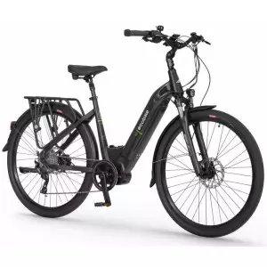 Elektrijalgratas Ecobike D2 City 29" 48V 2023 black