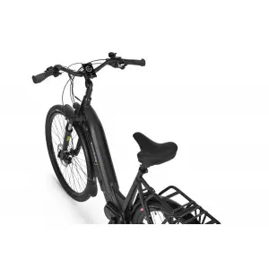 Elektrijalgratas Ecobike D2 City 29" 48V 2023 black