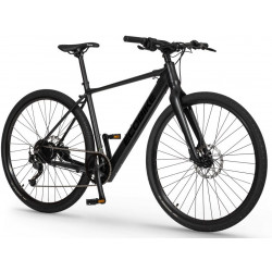 Elektrijalgratas Ecobike Urban 36V 2023