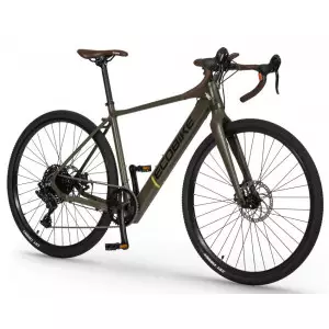 Elektrijalgratas Ecobike Forest 36V 2023