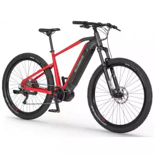 Elektrijalgratas Ecobike RX 500 29" 48V 2023