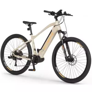 Elektrijalgratas Ecobike SX 300 29" 48V 2023 sandstorm