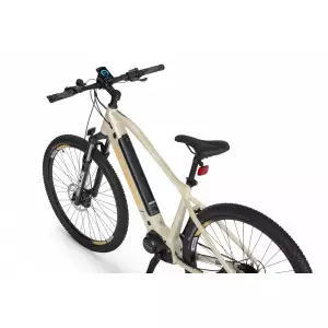 Elektrijalgratas Ecobike SX 300 29" 48V 2023 sandstorm