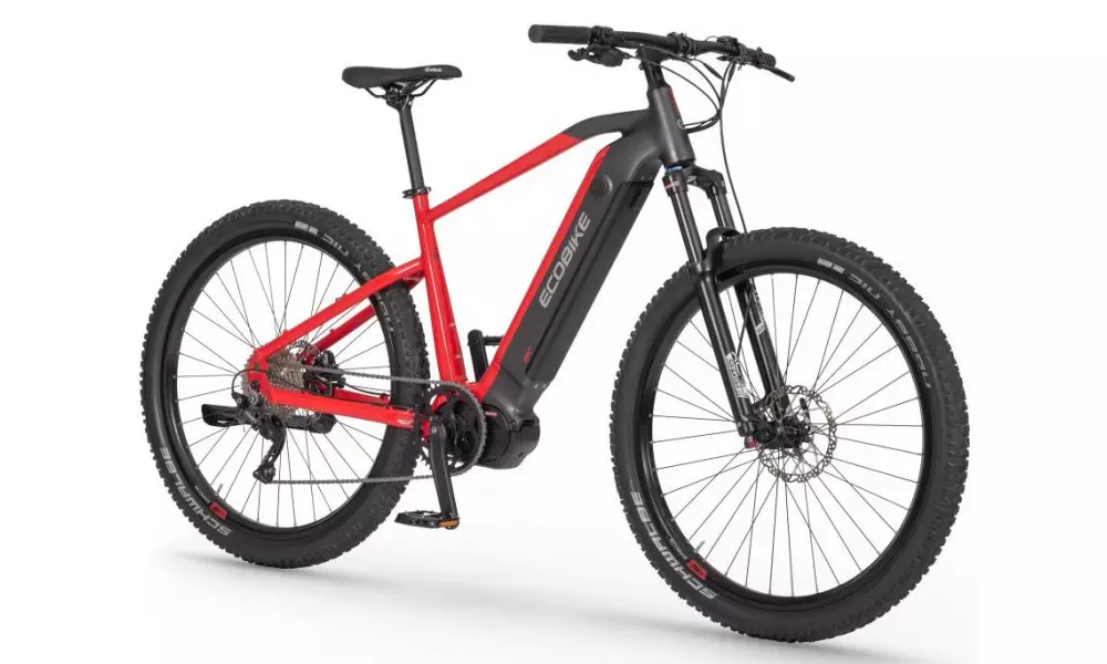 Elektrijalgratas Ecobike RX 500 29" 48V 2023 - 1