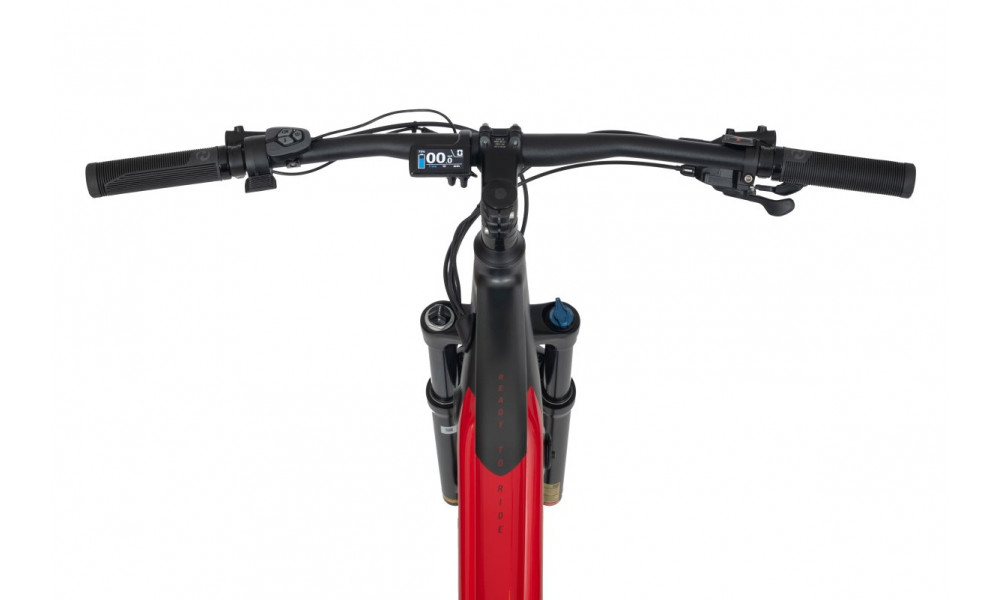 Elektrijalgratas Ecobike RX 500 29" 48V - 8