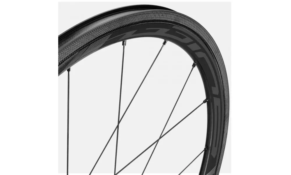 Jalgratta tagumine ratas Fulcrum Wind 40C C17 CL - 3