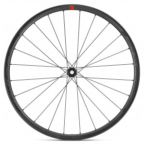 Jalgratta esiratas Fulcrum Speed 25 DB 2WF C21 AFS HH12 USB