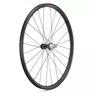 Jalgratta tagumine ratas Fulcrum Speed 25 DB 2WF C21 AFS HH12/142 USB