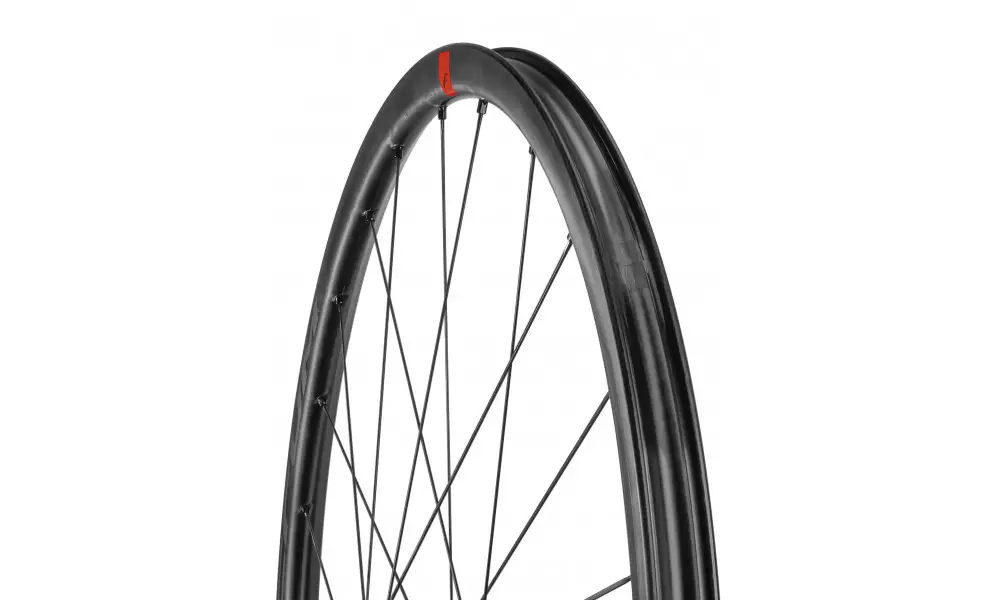 Jalgratta tagumine ratas Fulcrum Speed 25 DB 2WF C21 AFS HH12/142 USB - 5