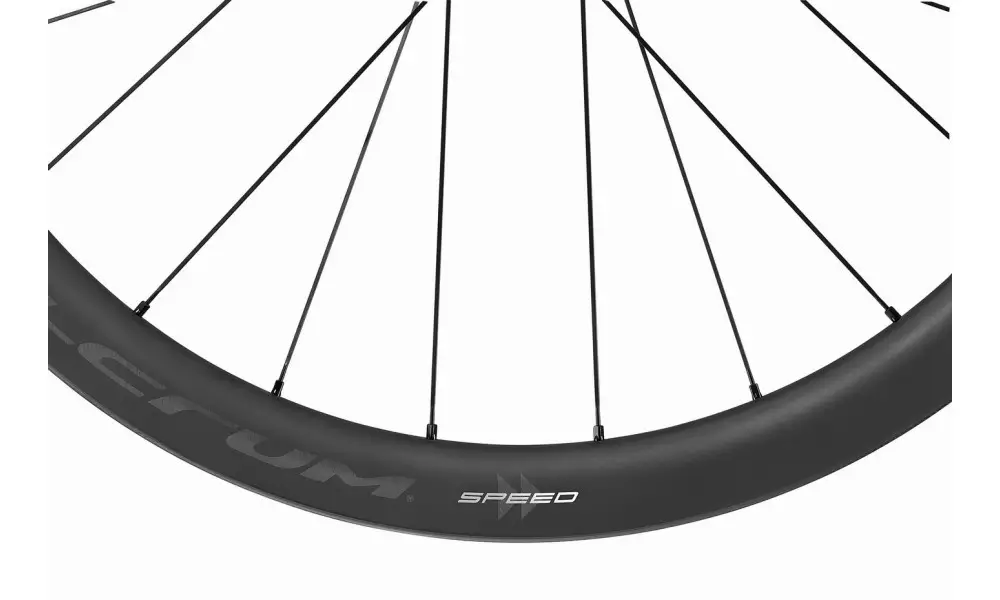 Jalgratta tagumine ratas Fulcrum Speed 42 DB 2WF C23 AFS HH12/142 USB - 1