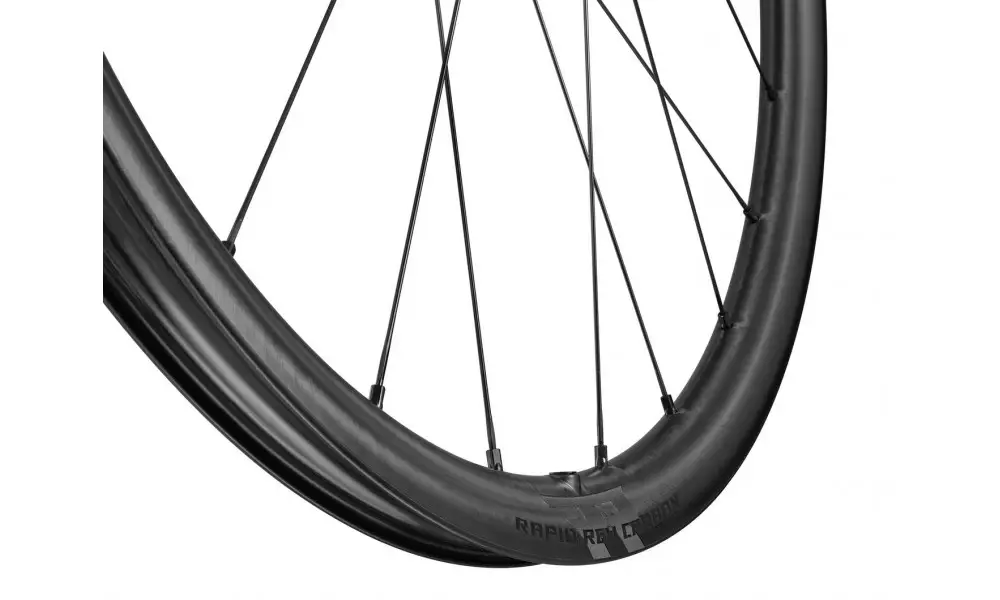 Jalgratta tagumine ratas Fulcrum Rapid Red Carbon 2WF C25 AFS HH12/142 - 5