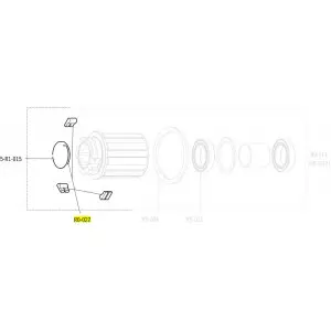 Rummu hoolduskomplekt Fulcrum pawls with spring for Shimano/Campagnolo road rear hubs
