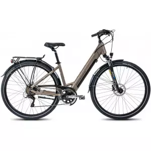 Elektrijalgratas ProEco:ON Wave LTD 1.0 504Wh champagne-black