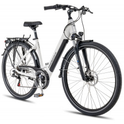 Elektrijalgratas ProEco:ON Wave LTD 1.0 504Wh white-black