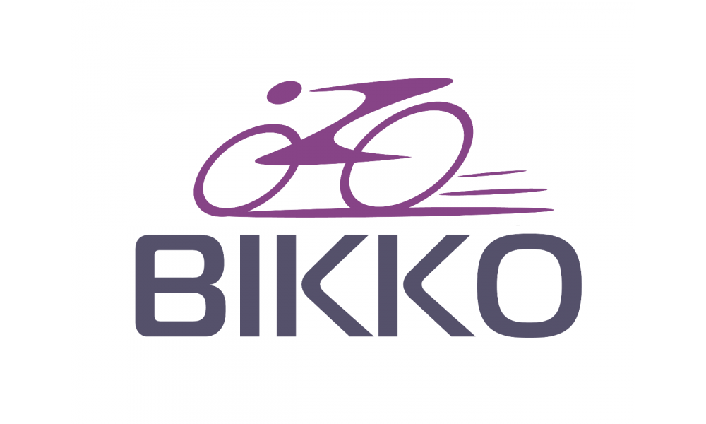 Jalgratas UNIBIKE Flite 29 2020